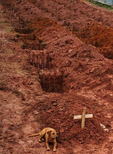 30 foto che ti cambieranno la vita