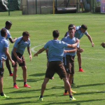 hoedt