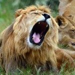 a33cdfd4-0877-11e5-b4ea-8178709faaab