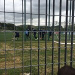 RISCALDAMENTO