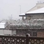 28511382_1575173639202889_1467134603_n