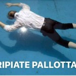 31841619_1640499032670349_4530464205425344512_n