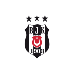 40x60-elde-sallamali-besiktas-bayragi-beikta-flamalar-baskiseli-baskiseli-336-20-B