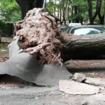 Ultime notizie, Meteo a Roma un disastro