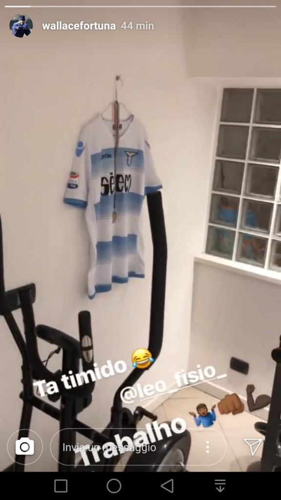 wallace-maglie