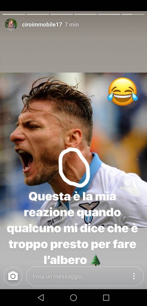 Questa l'Instagram Story postata da Immobile riguardo l'albero di Natale.