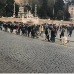 Schermata 2018-12-13 alle 15.57.06