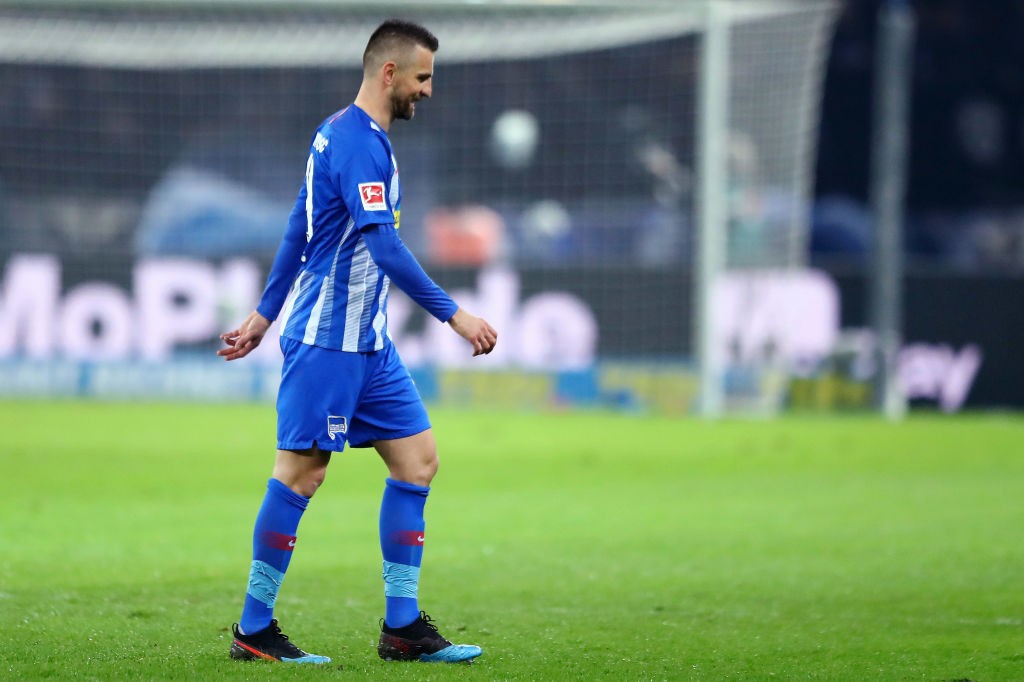Ibisevic