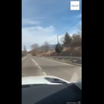 Schermata 2019-03-05 alle 14.39.14