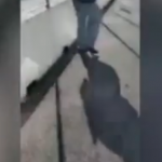 Schermata 2019-06-04 alle 17.32.43