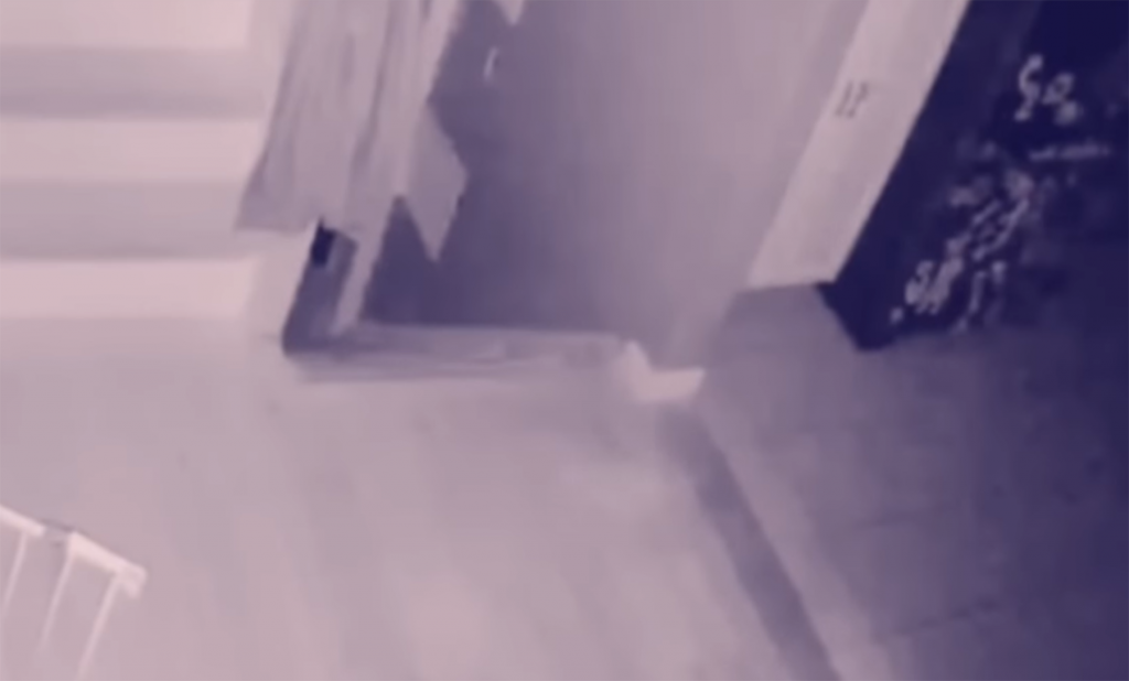 Ultime notizie - Fantasma: video pazzesco