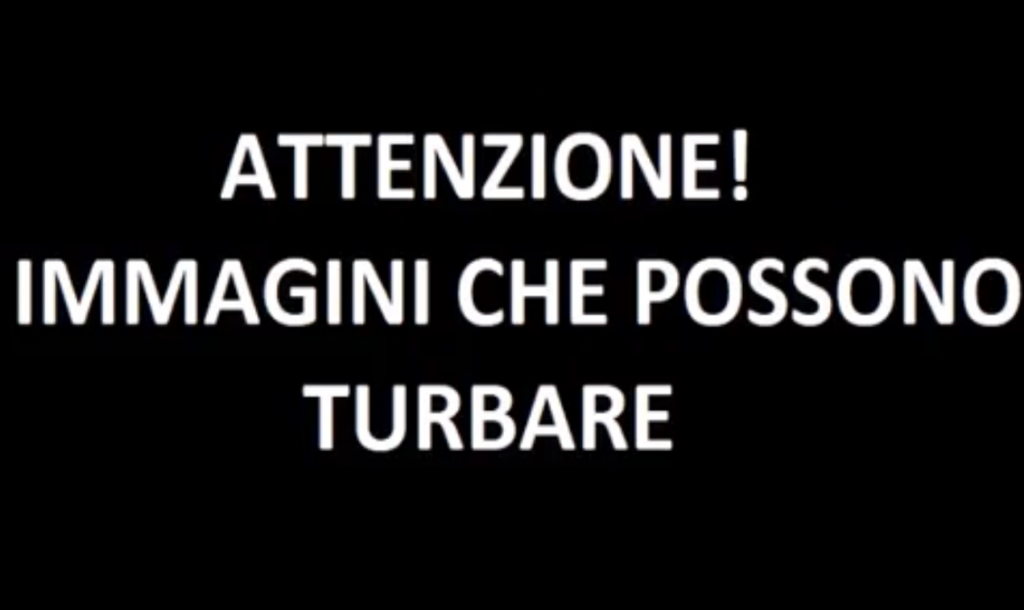 Notizie, Toro scatenato