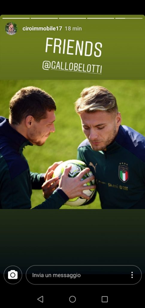 immobile-belotti