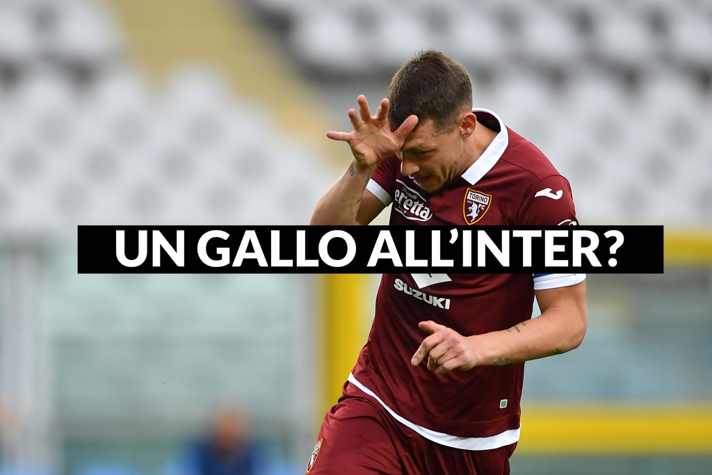 Un gallo per l'Inter